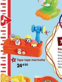 Tape-tape marmotte 24 €50 