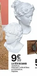 99  la tête de david 16x15x25cm existe aussi la tête de vers  en 22,5x16x26 cm  polyresine 
