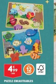 499  L'  DES  12  MOES  PUZZLE ENCASTRABLES  FSC 