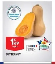p  d  189  la  butternut  origine france  legumice in france 