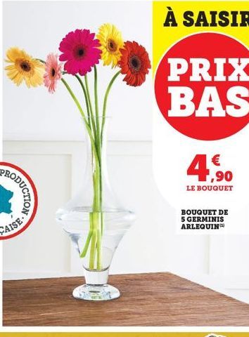 À SAISIR  PRIX BAS 4,90  LE BOUQUET  BOUQUET DE 5 GERMINIS ARLEQUIN 