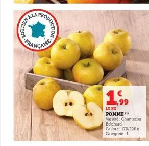 RYWALIOS  RODUCTION  1,99  LE HO  POMME  Variété Chantecler Belchard Calibre: 170/220 g Catégorie 1  