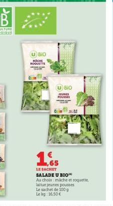 UBIO  MACHE ROQUETTE  1,65  LE SACHET  BIO  JEUNES POUSSES  20 