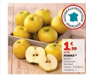 ala produs  eputien a l  leno pomme  variété :  roduction  ,99  chantecler  belchard  calibre: 170/220 g categorie: 1 