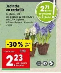 plantes 