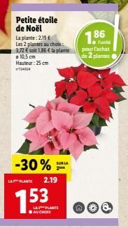 Petite étoile de Noël  La plante: 2,19 €  Les 2 plantes au choix: 3,72 € soit 1.86 € la plante 10,5 cm Hauteur: 25 cm  134904  -30%  LA PLANTE 2.19  LA PLANTE ●AU CHOIX  SUR LA  1.86  |Tutih  pour l'a