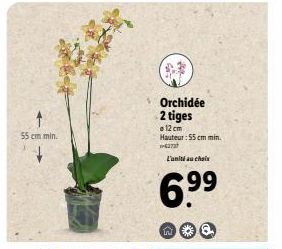 55 cm min.  W  Orchidée 2 tiges  12 cm Hauteur: 55 cm min. -27  L'unité au choix  6.9⁹9⁹ 