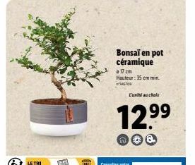 LE TRI  W  Bonsaï en pot céramique  a 17 cm Hauteur: 35 cm min. 170  L'unité au chole  12.⁹⁹ 