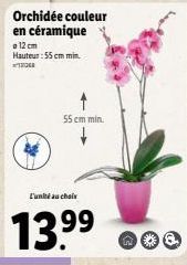 Orchidée couleur en céramique  12 cm  Hauteur: 55 cm min.  55 cm min.  L'unité au choix  13.99 