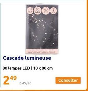 80  TELED  Cascade lumineuse  80 lampes LED | 10 x 80 cm  Consulter 