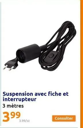 suspension avec fiche et interrupteur  3 mètres  3.99  3.99/st  consulter 