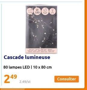 80  TELED  Cascade lumineuse  80 lampes LED | 10 x 80 cm  Consulter 