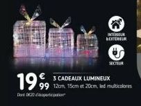 1995 CADEAUX LUMINEUX  DontD20 coperti  12cm, 15cm et 20cm, led multicolores  INTERIEUR EXTERIEUR  SECTEUR 