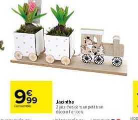 99⁹9  €  L'ensemble  Jacinthe  2 jacinthes dans un petit train décoratif en bois. 