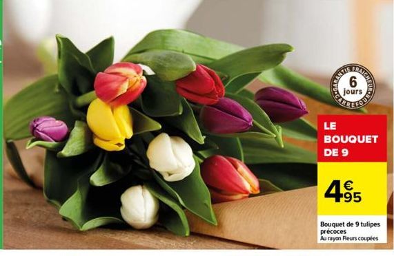 FRAICH  6 jours  no  LE  BOUQUET DE 9  495  Bouquet de 9 tulipes précoces Au rayon Fleurs coupées 