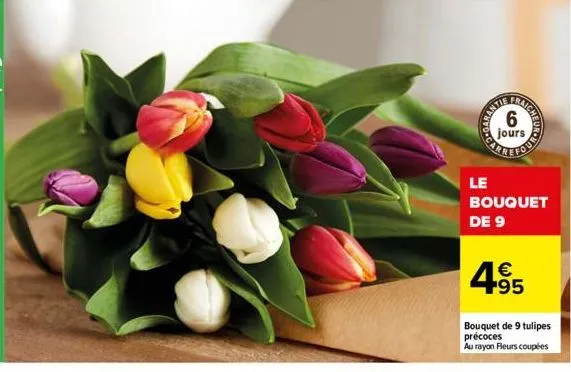 fraich  6 jours  no  le  bouquet de 9  495  bouquet de 9 tulipes précoces au rayon fleurs coupées 