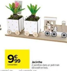 €  999  l'ensemble  jacinthe 2 jacinthes dans un petit train décoratif en bois. 