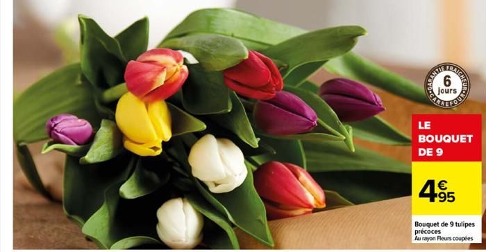CARA  6  jours  LE  BOUQUET DE 9  4⁹5  95  Bouquet de 9 tulipes précoces Au rayon Fleurs coupées 