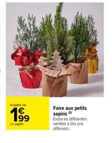 A partir de  199  Le sapin  Foire aux petits sapins  Existe en différentes variétés à des prix différents. 