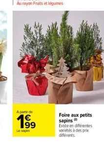 A partir de  199  Le sapin  Foire aux petits sapins  Existe en différentes variétés à des prix différents. 