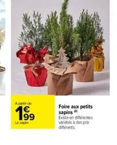 a partir de  199  le sapin  foire aux petits sapins  existe en différentes variétés à des prix différents. 