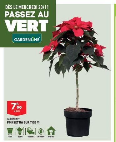 DÈS LE MERCREDI 23/11 PASSEZ AU  VERT  GARDENLINE  799  Lapt  GARDENLINE POINSETTIA SUR TIGE  15cm  50 cm Regulier ambe riut  