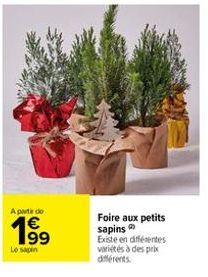 A partir de  199  Le sapin  Foire aux petits sapins Existe en différentes variétés à des prix 