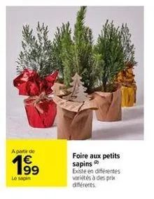 a partir de  199  le sapin  foire aux petits sapins existe en différentes variétés à des prix 