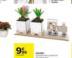 99⁹9  €  L'ensemble  Jacinthe  2 jacinthes dans un petit train décoratif en bois. 