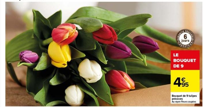 CARA  6  jours  LE  BOUQUET DE 9  4⁹5  95  Bouquet de 9 tulipes précoces Au rayon Fleurs coupées 
