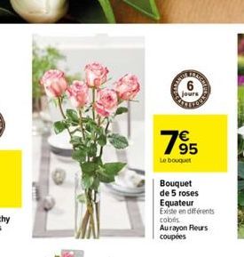 jours  7⁹5  95  Le bouquet  Bouquet de 5 roses Equateur  BACKRO  Existe en différents  coloris. Aurayon Fleurs coupées 