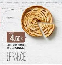la pele  4,50€  tarte aux pommes-480 g. soit 9,38€ le kg  france 