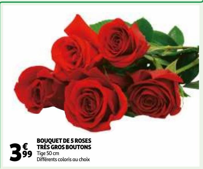 BOUQUET DE 5 ROSES TRÈS GROS BOUTONS