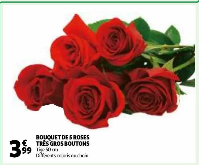 bouquet de 5 roses très gros boutons