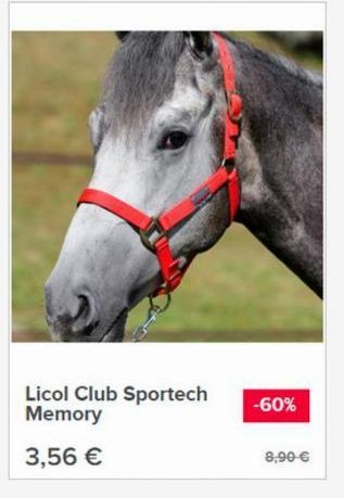 Licol Club Sportech Memory  3,56 €  -60%  8,90 €  