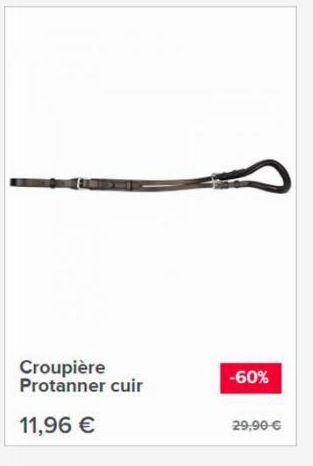 Croupière Protanner cuir  11,96 €  -60%  29,90 € 