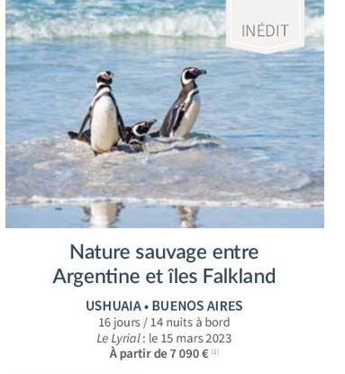 Nature sauvage entre Argentine et îles Falkland  USHUAIA BUENOS AIRES 16 jours/14 nuits à bord Le Lyrial: le 15 mars 2023 À partir de 7 090 €)  INÉDIT 