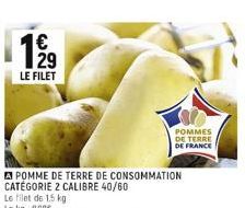 pommes de terre 