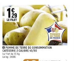 pommes de terre 