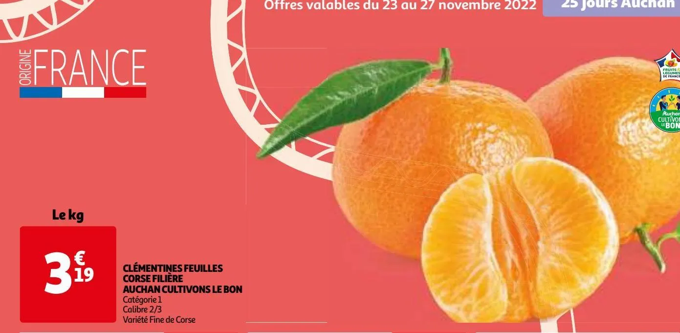 clémentines feuilles corse filière auchan cultivons le bon