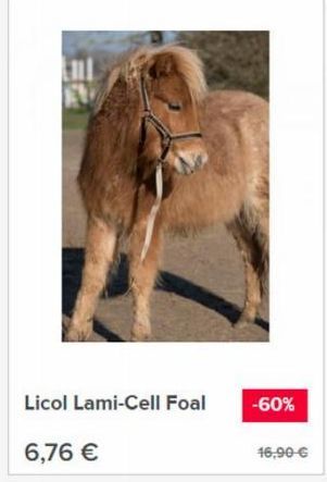 Licol Lami-Cell Foal  6,76 €  -60%  16,90 € 