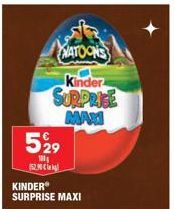 529  100  (52.90  NATOONS  Kinder  SURPRISE MAX  KINDER SURPRISE MAXI 