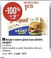 -100%  SUR  SOIT PAR 3 LUNITE:  1615  quet  GEANT 