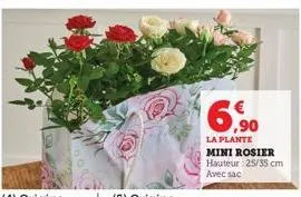 ,90  la plante  mini rosier hauteur 25/35 cm avec sac 