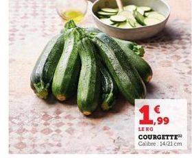 1,99  LE KO  COURGETTE™ Calibre: 14/21 cm 