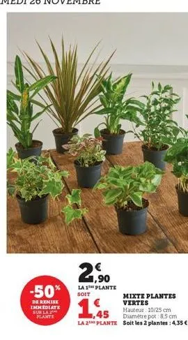 -50%  de remise immediate sur la plante  21,90  la 1th plante soit  mixte plantes vertes  € ,45  hauteur: 10/25 cm diamètre pot: 8,5 cm  la 2e plante soit les 2 plantes : 4,35 € 