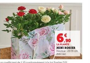 6.90  LA PLANTE  MINI ROSIER Hauteur 25/35 cm Avec sac 