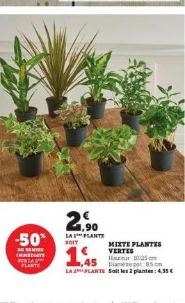 -50%  de remise immediate sur la 2 plante  1,90  la 1h plante soit  mixte plantes vertes  hauteur: 10/25 cm  €  1,45  la 2e plante soit les 2 plantes: 4,35 € 