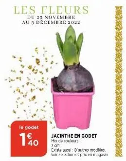 les fleurs  du 23 novembre au 5 décembre 2022  le godet  140  jacinthe en godet mix de couleurs  7 cm  existe aussi: d'autres modèles, voir sélection et prix en magasin  