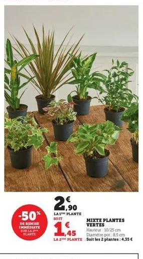 -50%  de remise immediate sur la plante  1,90  la1™ plante soit  ,45  la 2 plante  mixte plantes vertes  hauteur: 10/25 cm diamètre pot: 8,5 cm soit les 2 plantes: 4,35 € 
